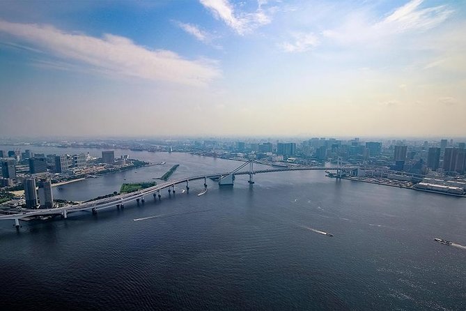 【10 mins】Tokyo Helicopter Tour + Private Car Pickup & Drop off - My booking advice