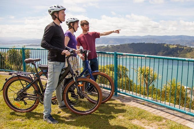 15-Minute Wellington Harbour Helicopter Flight - What 15 minutes feels like in the air