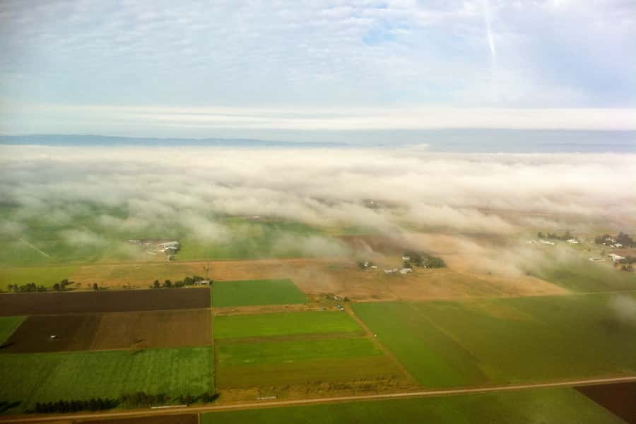 20 Minute Helicopter Scenic Flight Hunter Valley - Why this flight shows more than vineyards