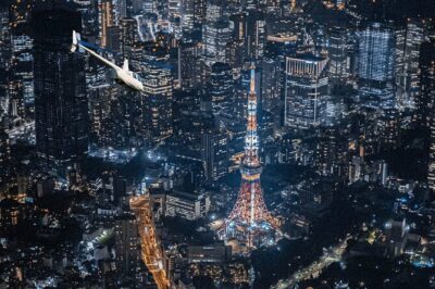 25-Min Downtown Helicopter Tour : Tokyo Skytree and Tokyo Tower