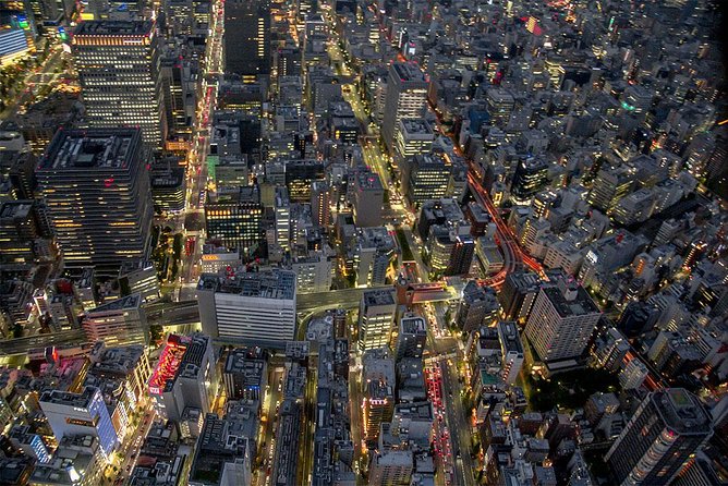 25-Min Downtown Helicopter Tour : Tokyo Skytree and Tokyo Tower - Why the private format matters