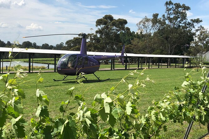 3 Hour Helicopter Wine Tasting Tour in Hunter Valley - Key points before you book
