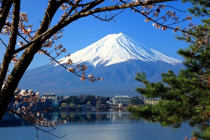 75-Min Mt. Fuji Half Day Private Helicopter Tour - Key points to know before takeoff
