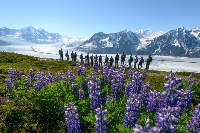 Alaska Heli Hiking - ANCHORAGE AREA - Choosing your hike above timberline