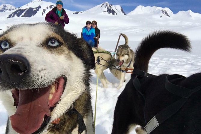 Alaska Helicopter and Glacier Dogsled Tour - ANCHORAGE AREA - Flying from Palmer into glacier country