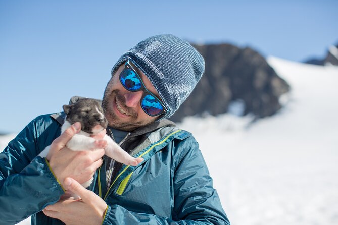 Alaska Helicopter and Glacier Dogsled Tour - ANCHORAGE AREA - Wildlife watching from the helicopter