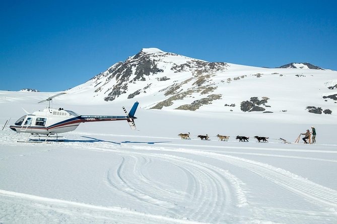 Alaska Helicopter and Glacier Dogsled Tour - ANCHORAGE AREA - The flight back over blue pools and crevasses