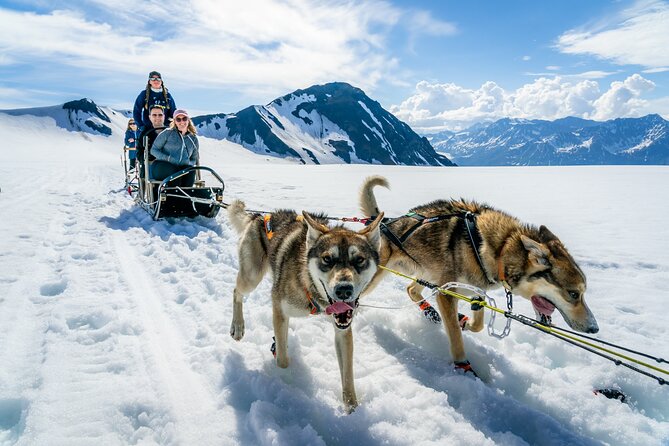 Alaska Helicopter and Glacier Dogsled Tour - ANCHORAGE AREA - Landing on Troublesome Glacier snow