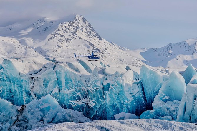 Alaska Helicopter Tour with Glacier Landing - 60 mins - ANCHORAGE AREA - Wildlife from the helicopter