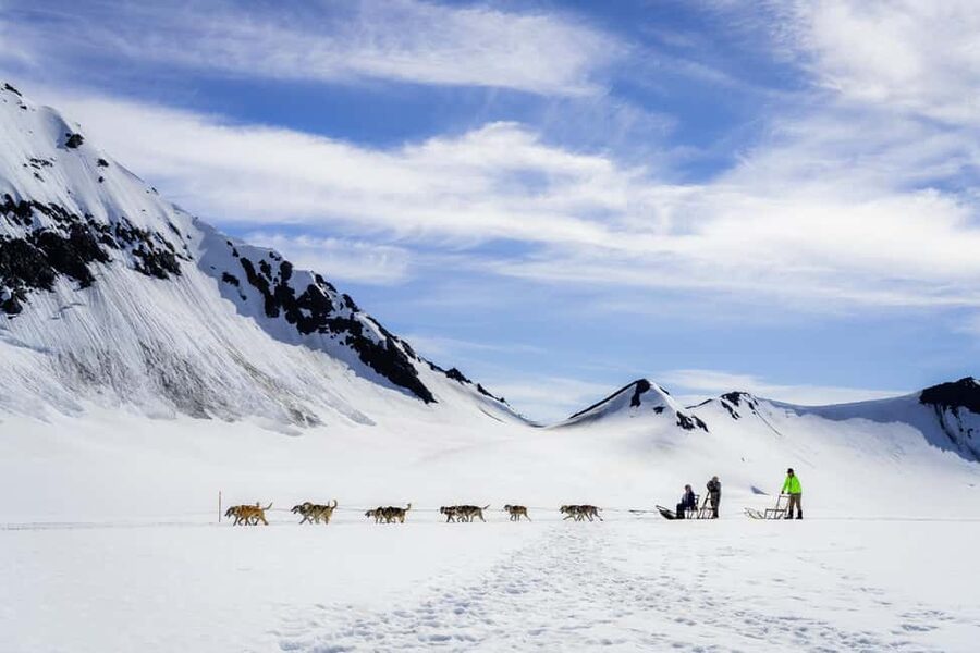 Anchorage Area: Helicopter and Glacier Dogsled Tour - FAQ