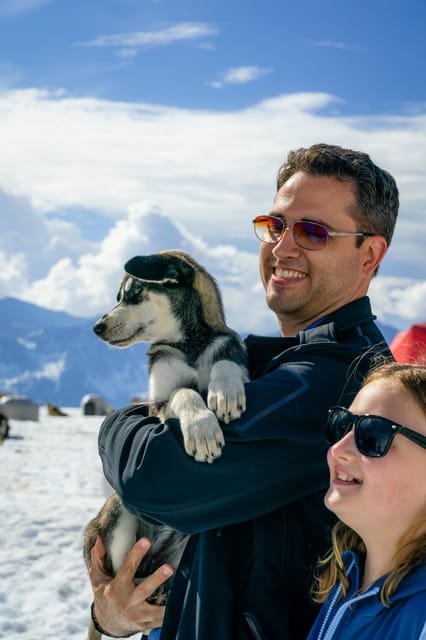 Anchorage Area: Helicopter and Glacier Dogsled Tour - From Palmer to the Chugach Range by helicopter
