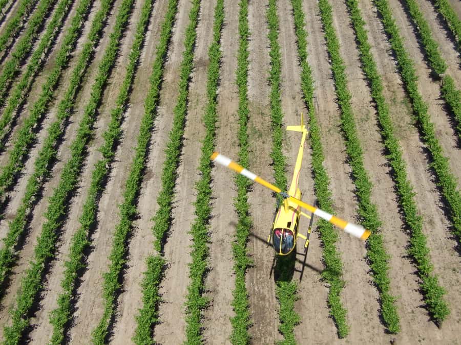 Barossa Valley: 10-Minute Scenic Helicopter Flight - Taking off from the Hoffnungsthal Valley