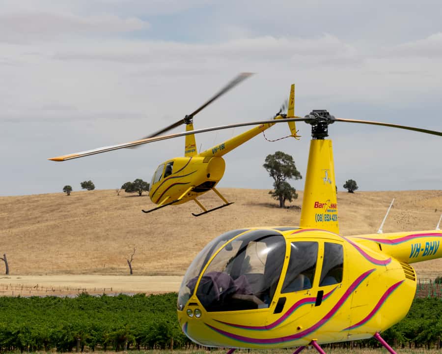 Barossa Valley: 30 Minute Scenic Helicopter Flight - Nuriootpa, Wolf Blass, and the Angaston view