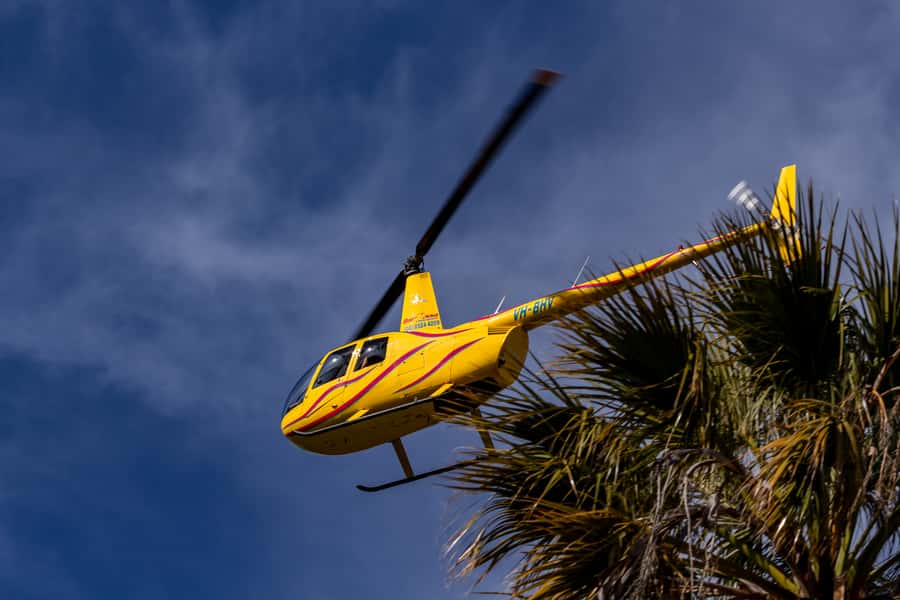 Barossa Valley: 30 Minute Scenic Helicopter Flight - What the views are really worth at $265