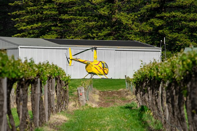Barossa Valley Deluxe: 30-Minute Helicopter Flight - Is $268.97 per person good value?