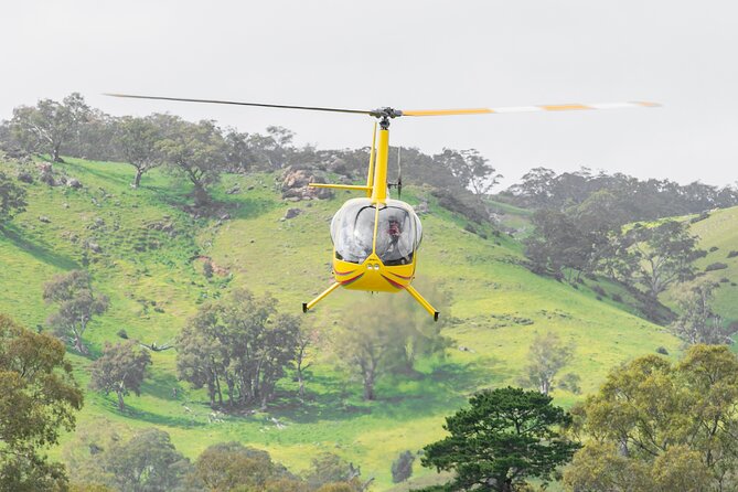 Barossa Valley Deluxe: 30-Minute Helicopter Flight - What the 30-minute flight gives you