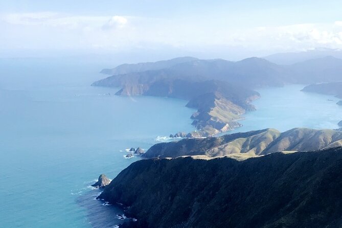 Bay of Many Coves, Marlborough Sounds- Heli-lunch from Wellington - Price, value, and who should pay it