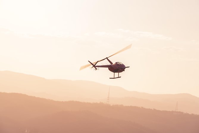 Brisbane City - Private Helicopter Sunset Flight - 25min - Old Government House and Mount Coot-Tha at 1,500 feet