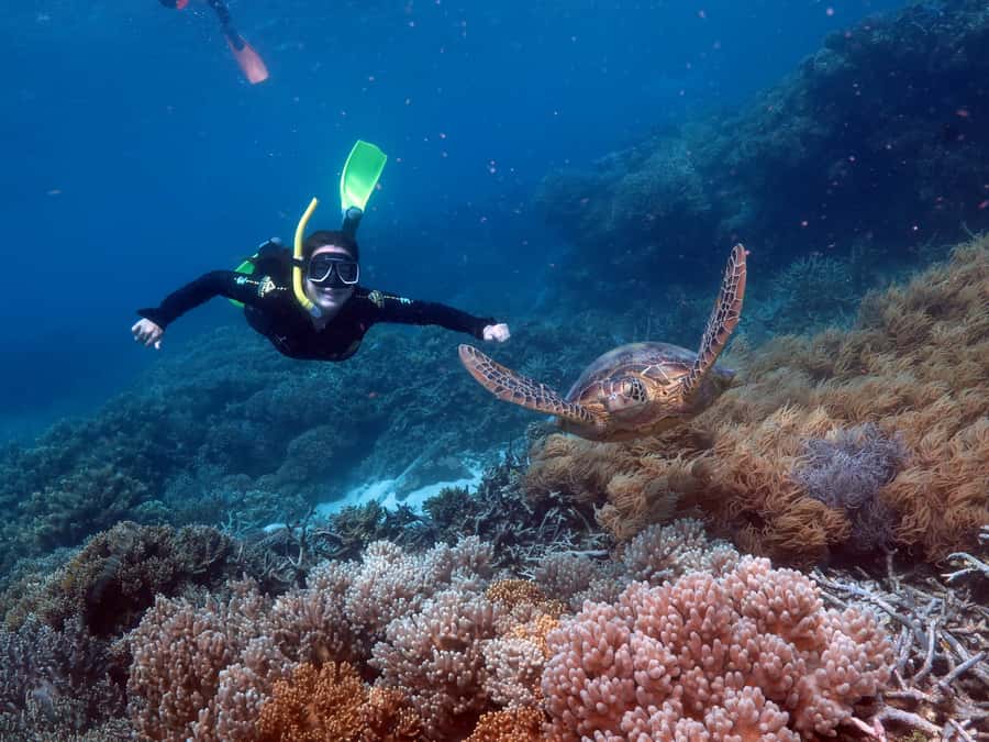 Cairns: Great Barrier Reef Cruise & 10 Minute Helicopter - Lunch, tea, and the rhythm of the day