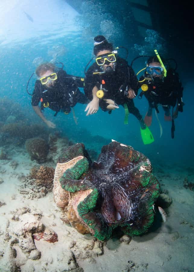 Cairns: Great Barrier Reef Cruise & 10 Minute Helicopter - Who should book this Cairns reef trip?