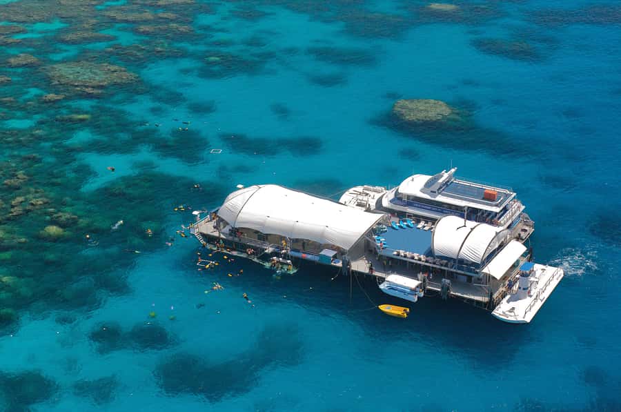 Cairns: Great Barrier Reef Cruise & 10 Minute Helicopter - Three hours on a reef platform