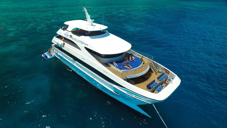 Cairns: Great Barrier Reef Cruise & Scenic Helicopter Flight - Saxon Reef: your first two hours in the water
