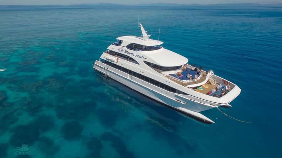 Cairns: Great Barrier Reef Cruise & Scenic Helicopter Flight - Lunch with steak, fish, prawns, and salads