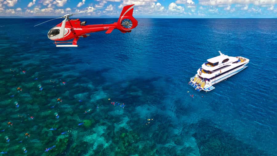Cairns: Great Barrier Reef Cruise & Scenic Helicopter Flight - A capable crew with a light touch