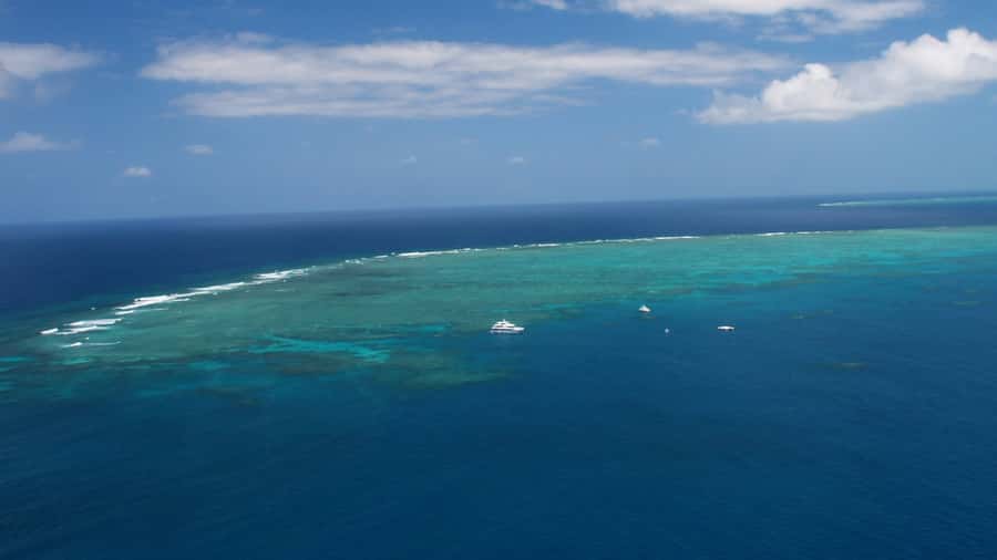 Cairns: Great Barrier Reef Cruise & Scenic Helicopter Flight - The return trip includes a small but welcome finish