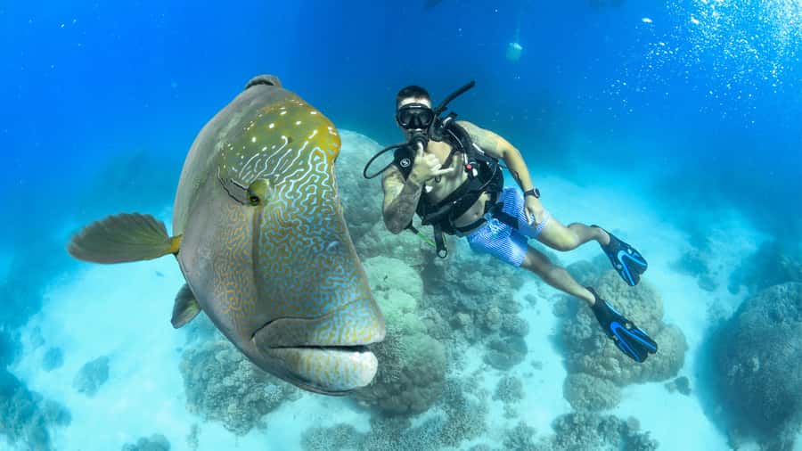 Cairns: Great Barrier Reef Cruise & Scenic Helicopter Flight - A smoother ride aboard Evolution