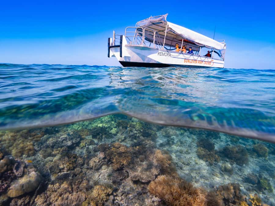 Cairns: Great Barrier Reef Pontoon, Travel by Helicopter - A waterslide, fish feeding, and time to slow down