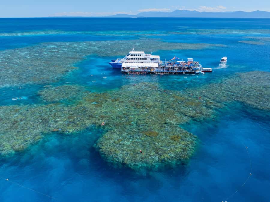 Cairns: Great Barrier Reef Pontoon, Travel by Helicopter - Lunch, drinks, and extra costs