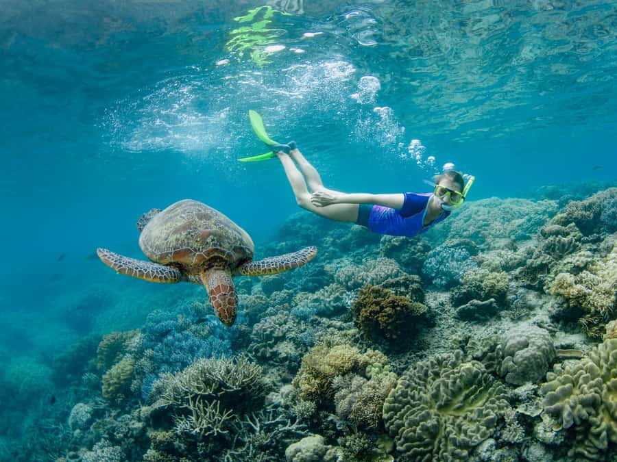 Cairns: Great Barrier Reef Pontoon, Travel by Helicopter - A clear morning schedule from Cairns