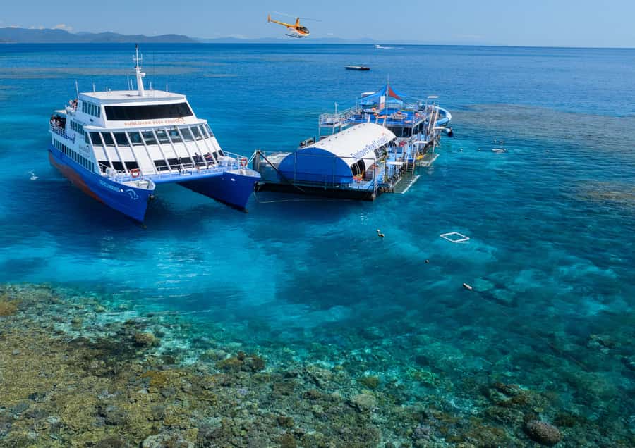 Cairns: Half Day Helicopter & Snorkeling Tour - Why the half-day format works at Moore Reef