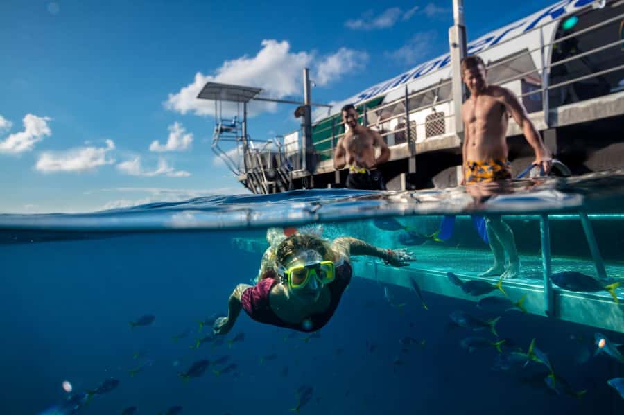 Cairns: Half Day Helicopter & Snorkeling Tour - Dry viewing for swimmers and non-swimmers