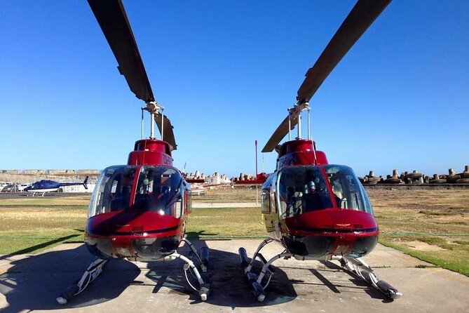 Camps Bay and Hout Bay Helicopter Tour from Cape Town - Hout Bay and the return to the helipad