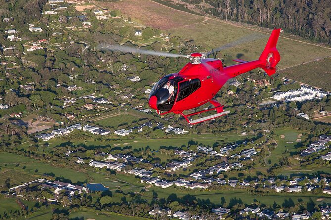 Cape of Good Hope Helicopter Private Tour with Stellenbosch Wine Tasting & Lunch - Delaire Graff, views, and the main meal