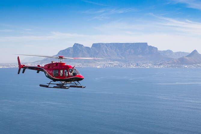 Cape Peninsula Helicopter Private Tour with Stellenbosch Wine Tasting & Lunch - The day at a glance