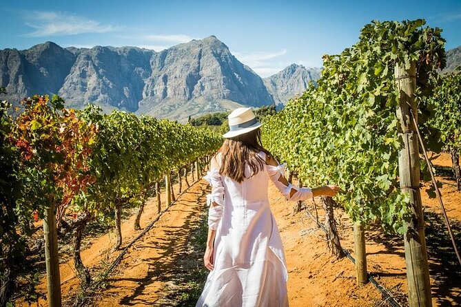 Cape Peninsula Helicopter Private Tour with Stellenbosch Wine Tasting & Lunch - Timing, weather, and practical planning