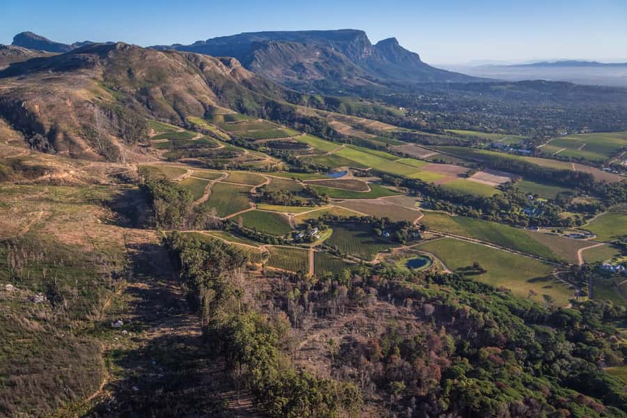 Cape Town: 2 Oceans Helicopter Flight with Boat Tour Ticket - Who will enjoy this Cape Town helicopter tour?