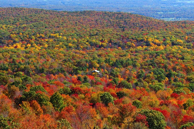 Couple's Private Hudson Valley Fall Foliage Helicopter Tour from Westchester - Choosing 30 or 40 minutes