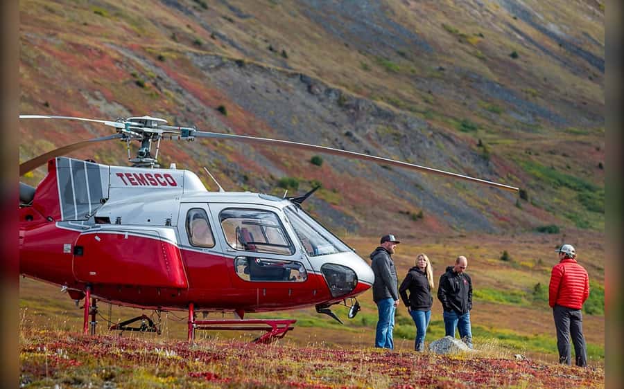 Denali National Park: Helicopter and Hike Adventure - Walking above the tree line with a local guide