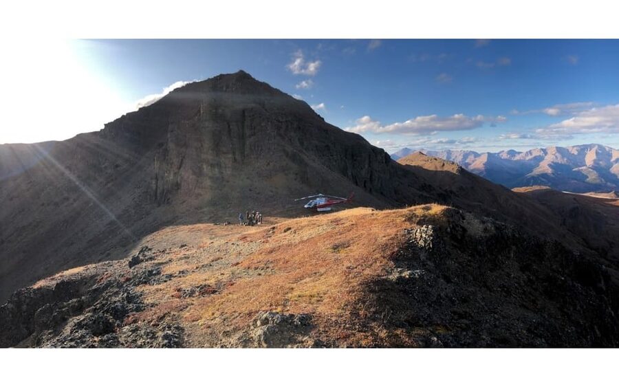Denali National Park: Helicopter and Hike Adventure - What the naturalist guide adds to the walk