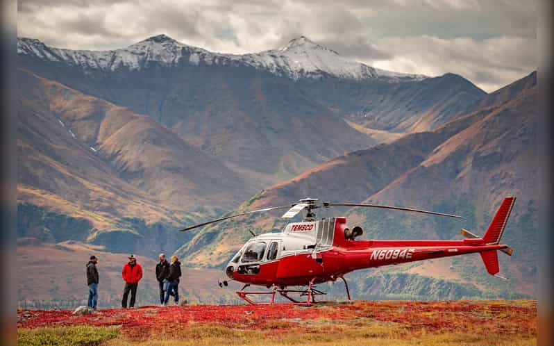 Denali National Park: Helicopter and Hike Adventure - How the timing shapes the experience