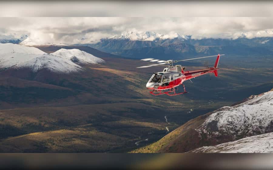 Denali National Park: Helicopter and Hike Adventure - The helicopter flight over tundra and alpine ridges