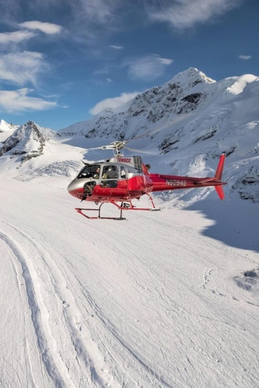 Denali National Park: Helicopter Flight with Glacier Landing - Key points at a glance