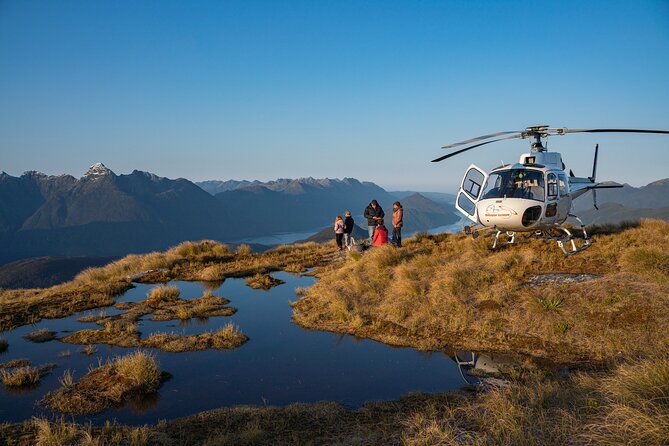 Dusky Sound // Helicopter Scenic Flight - Key points before you book