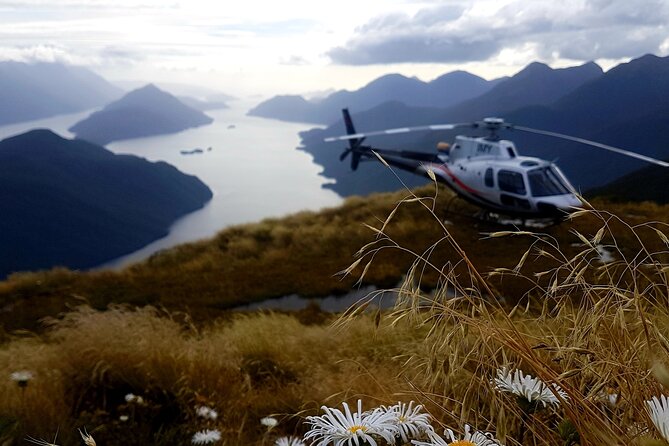 Dusky Sound // Helicopter Scenic Flight - Reaching Tamatea Dusky Sound