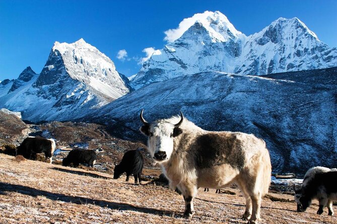 Everest Base Camp Trek with Helicopter Return from Gorakshep to Lukla - Key points to know before you book