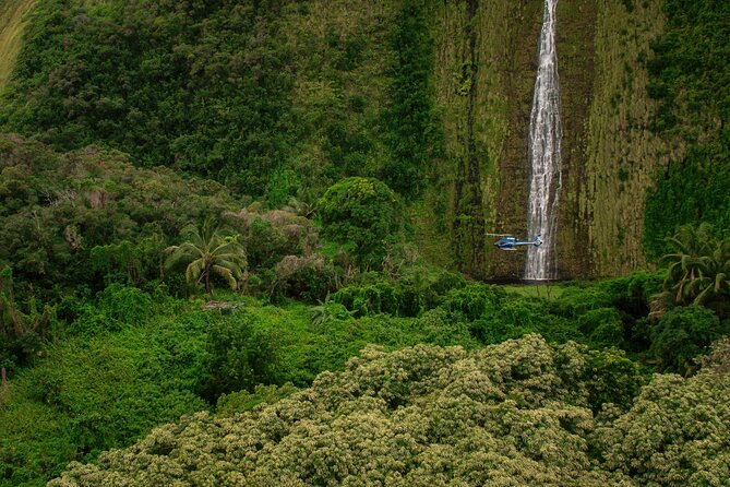 Exclusive Landing with Spectacular Big Island Helicopter Tour - Waimea and Hawaii’s cowboy country